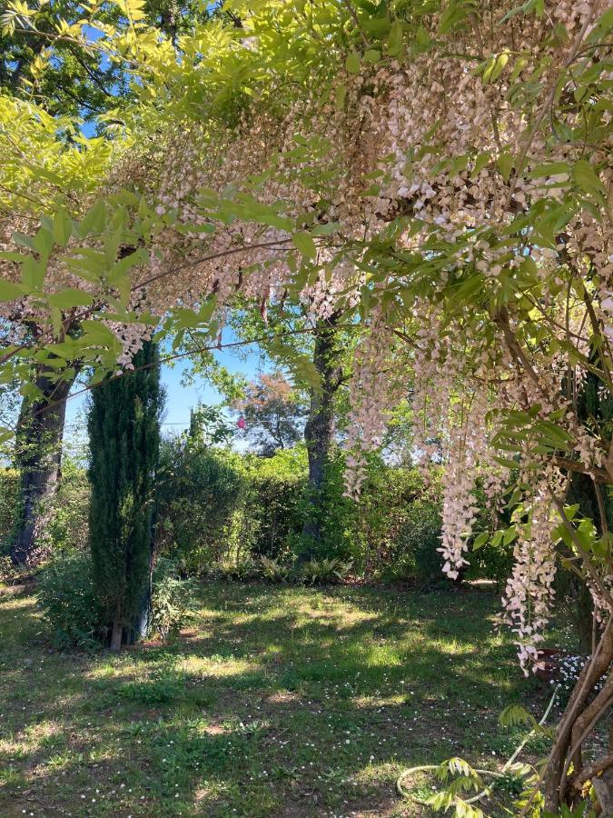 Tenuta Poggio alla Farnia Fauglia Esterno foto