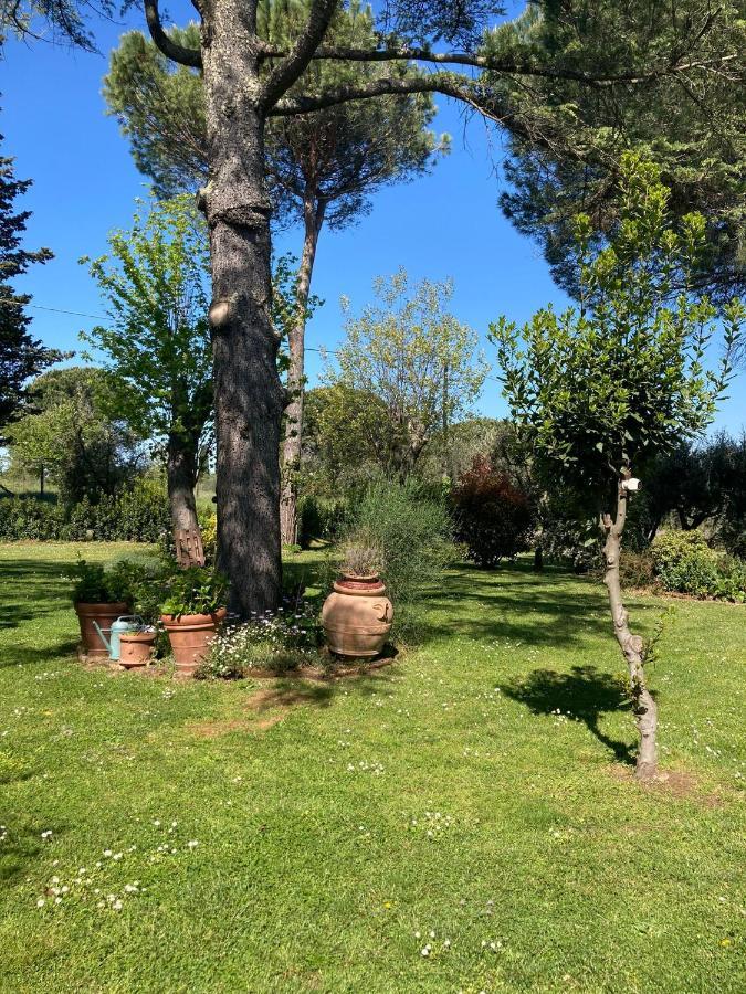 Tenuta Poggio alla Farnia Fauglia Esterno foto