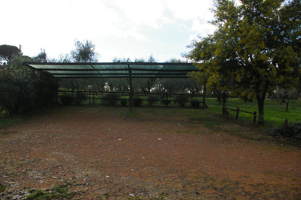 Tenuta Poggio alla Farnia Fauglia Esterno foto